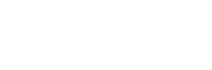 Hybrid Agency